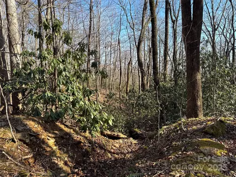 0 Judes Gap 2 Rd #2, Mill Spring, NC 28756 photo 4