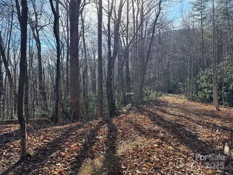 0 Judes Gap 2 Rd #2, Mill Spring, NC 28756 photo 5