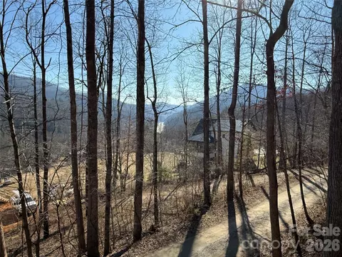 Other - 39 Honeysuckle Ln, Sylva, NC 28779 photo 4 of 6