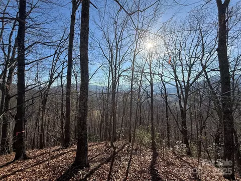 121327 Brer Rabbit 121327 Trl #12,13,27, Waynesville, NC 28785