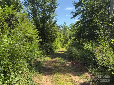 0 Collins 5 Rd #5, Bostic, NC 28018 photo 2