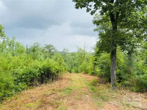 0 Collins 5 Rd #5, Bostic, NC 28018 photo 16
