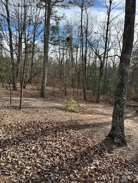 7303 White Pine Dr, Hickory, NC 28602 photo 10