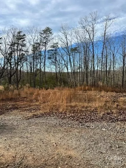 7303 White Pine Dr, Hickory, NC 28602 photo 6