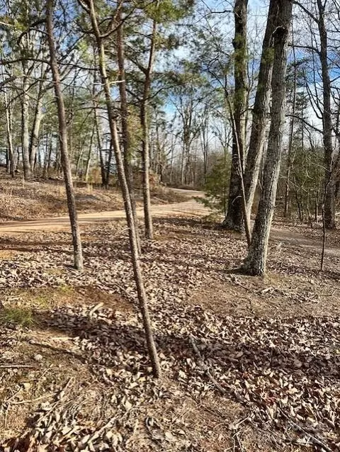 7303 White Pine Dr, Hickory, NC 28602 photo 12