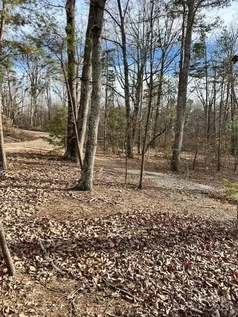 7303 White Pine Dr, Hickory, NC 28602 photo 11