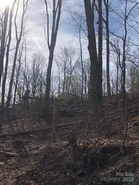 000 Marshall Ridge 78 Rd #78, Hendersonville, NC 28792