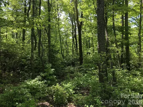 0 Millard 15 Xing #15, Hendersonville, NC 28792