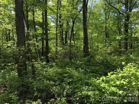 00 Millard 17 Xing #17, Hendersonville, NC 28792