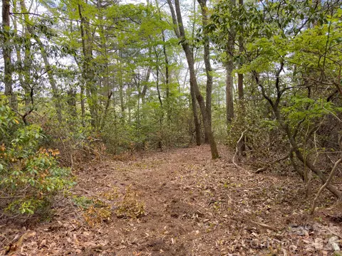 Pine Point Road, Spruce Pine, NC 28777 photo 5