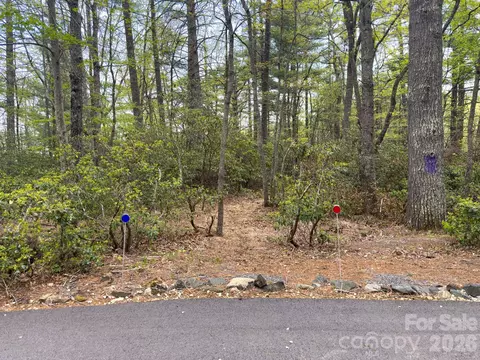 Pine Point Road, Spruce Pine, NC 28777 photo 4