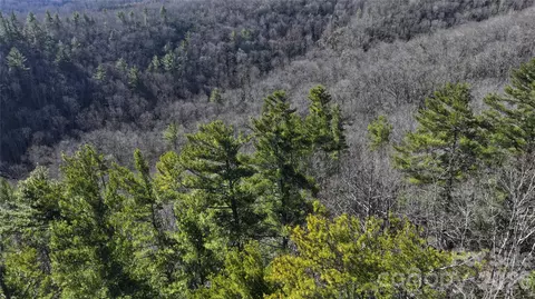 Pine Point Road, Spruce Pine, NC 28777 photo 9