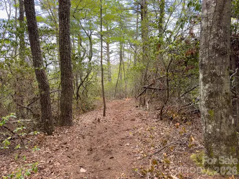 Pine Point Road, Spruce Pine, NC 28777 photo 6