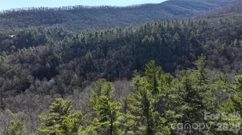 Pine Point Road, Spruce Pine, NC 28777 photo 8
