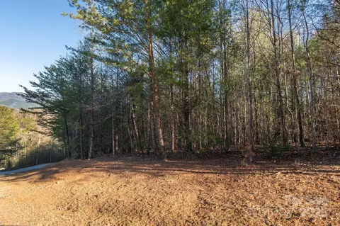Dockside Drive, Nebo, NC 28754 photo 9