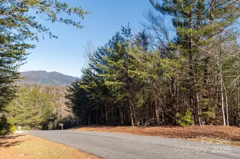 Dockside Drive, Nebo, NC 28754 photo 6