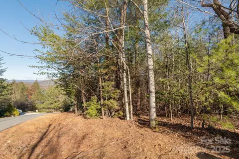 Dockside Drive, Nebo, NC 28754 photo 10