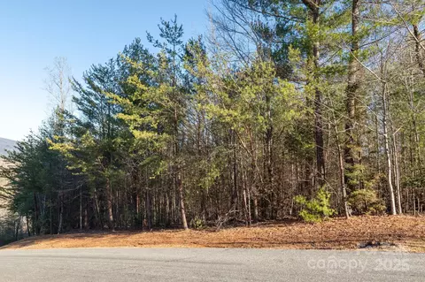Dockside Drive, Nebo, NC 28754 photo 8