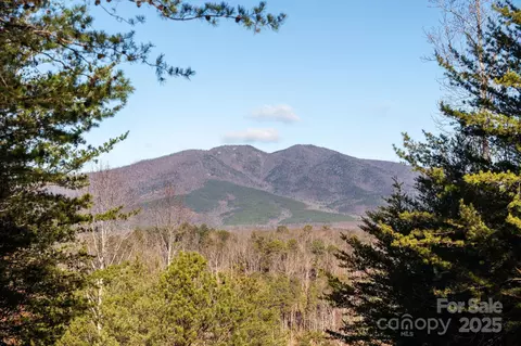 Dockside Drive, Nebo, NC 28754 photo 7