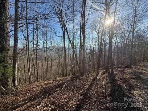19 Brer Rabbit Trail #19, Waynesville, NC 28785