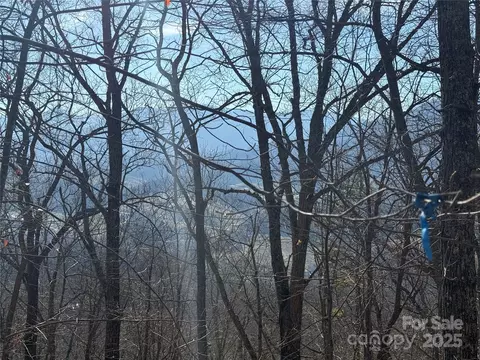 18 Bugs Bunny Lane #18, Waynesville, NC 28785
