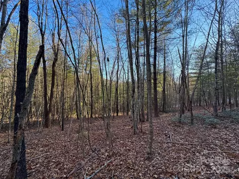 0000 Pebble Stone 46 Trl #46, Hendersonville, NC 28792