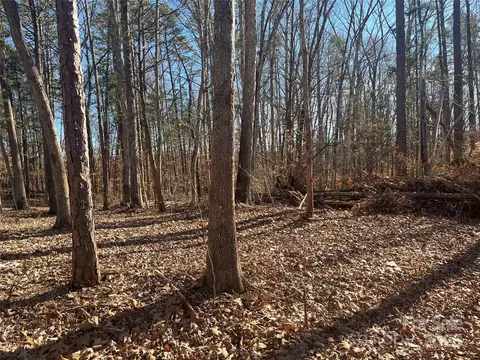 Archer Road, Davidson, NC 28036 photo 13