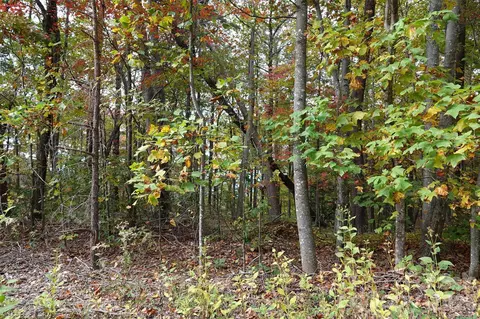 100 Sunset Dr, Bostic, NC 28018 photo 6