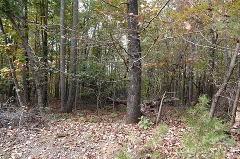100 Sunset Dr, Bostic, NC 28018 photo 8