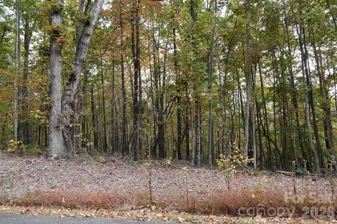 100 Sunset Dr, Bostic, NC 28018 photo 7