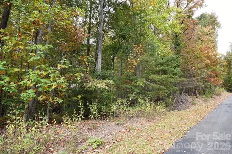 100 Sunset Dr, Bostic, NC 28018 photo 4