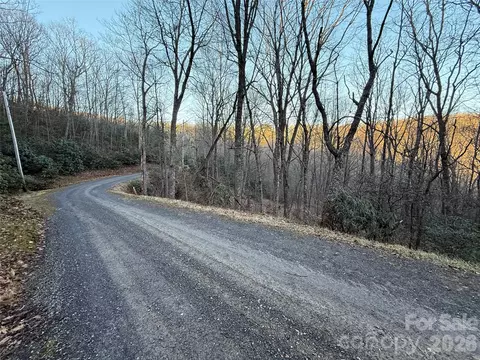Bear Hollow 32 Road #32, Waynesville, NC 28785