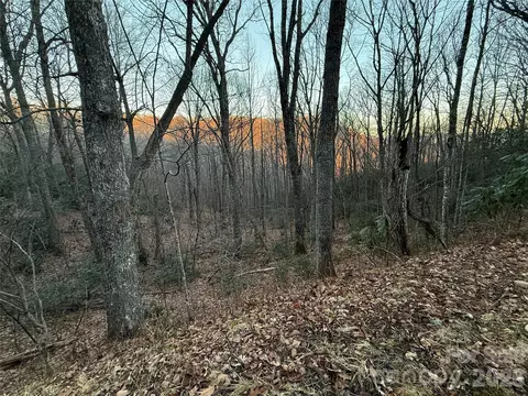 Bear Hollow 32 Road #32, Waynesville, NC 28785