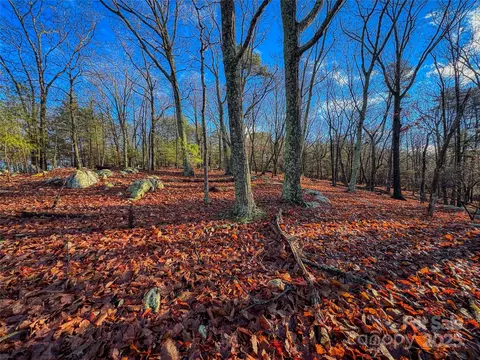 338 Sierra Trace Rd, Denton, NC 27239 photo 5
