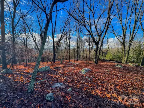 338 Sierra Trace Rd, Denton, NC 27239 photo 4