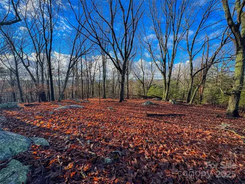 338 Sierra Trace Rd, Denton, NC 27239 photo 2