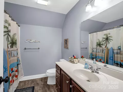 Bath - 1009 Pearidge Rd, Bostic, NC 28018 photo 7 of 8