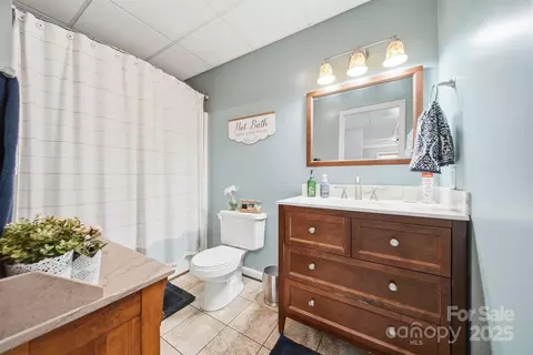 Bath - 3392 Overbrook Dr, Conover, NC 28613 photo 4 of 4