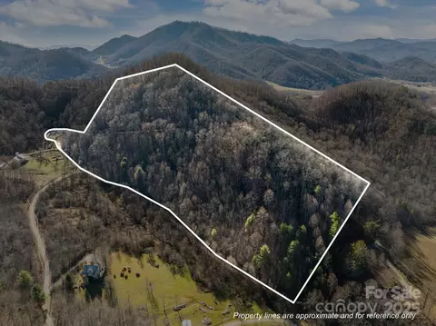 000 Wayward Cv, Clyde, NC 28721