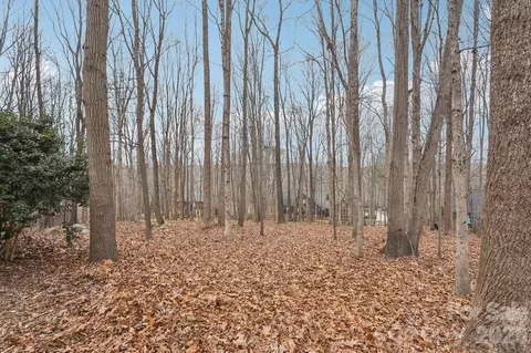 11655 Terrill Ridge Dr, Davidson, NC 28036 photo 36