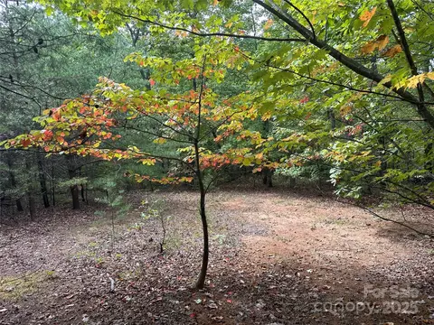 333 Mossy Oak 164 Trl #164, Nebo, NC 28761