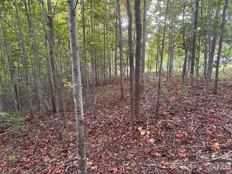 311 Scenic Vista 254 Dr #254, Nebo, NC 28761