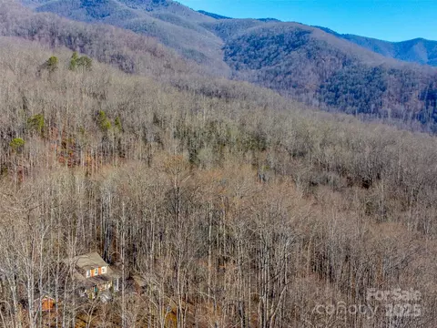 Other - 1226 Monteith Branch Rd, Sylva, NC 28779 photo 3 of 9