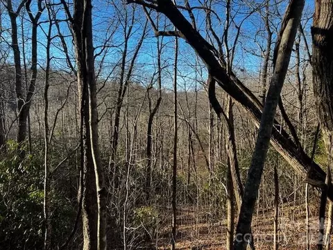 9999 Tessie Ln, Black Mountain, NC 28711