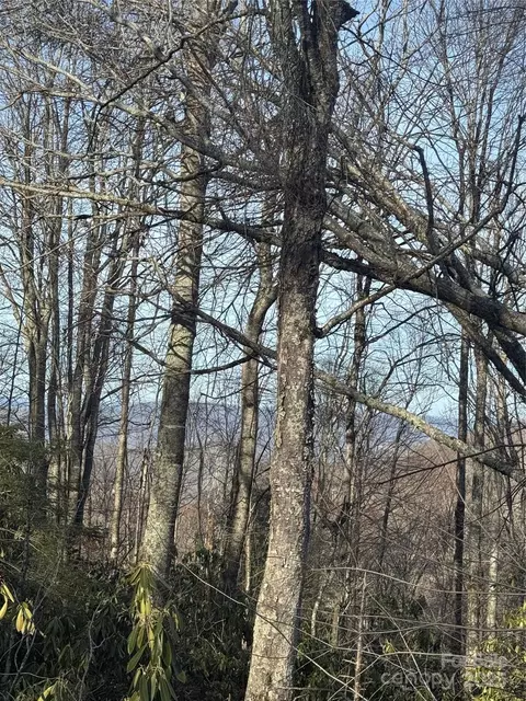 226 Greenbriar 322 C Rd #322 C, Beech Mountain, NC 28604