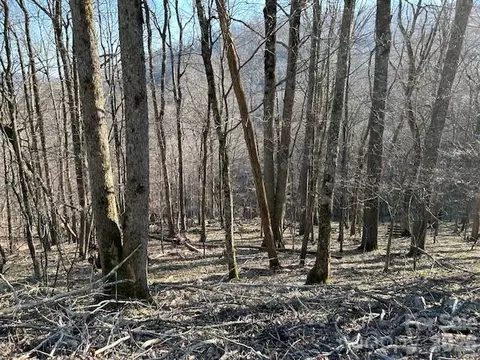 0000 Trillium Ln, Mars Hill, NC 28754