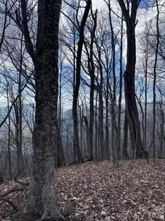 00 Mule Stomp Rd, Clyde, NC 28721 photo 14