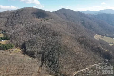 00 Mule Stomp Rd, Clyde, NC 28721 photo 6