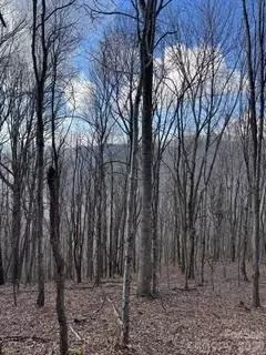 00 Mule Stomp Rd, Clyde, NC 28721 photo 12