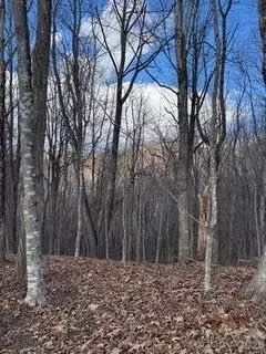 00 Mule Stomp Rd, Clyde, NC 28721 photo 15